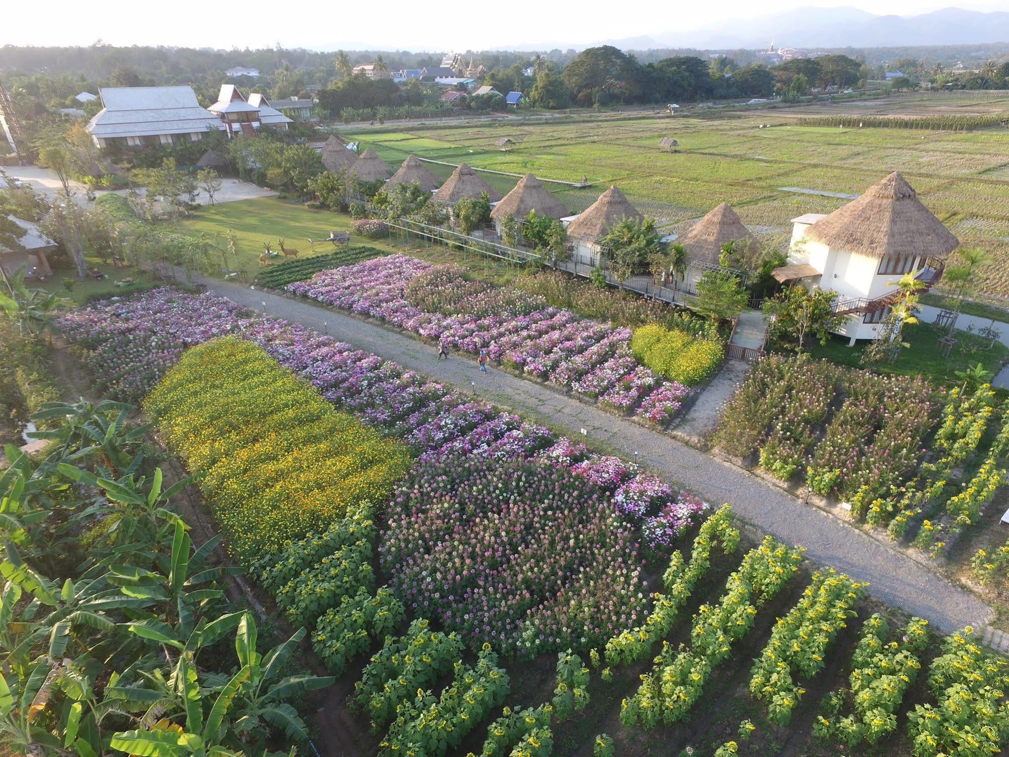 Phusanfah Resort Mae Taeng Extérieur photo